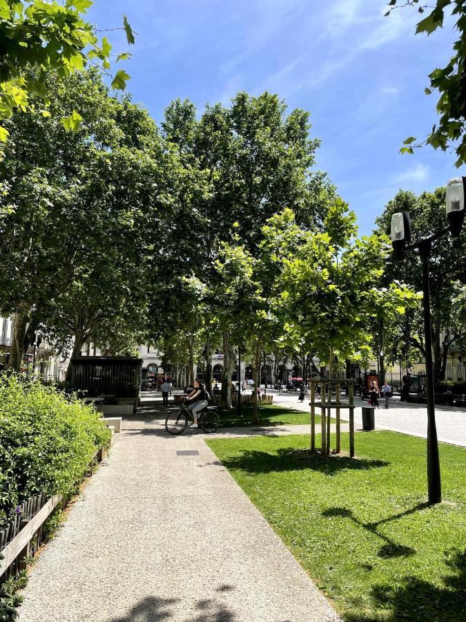 Roma Divine Home Cinema Et Jardin Nîmes Eksteriør bilde
